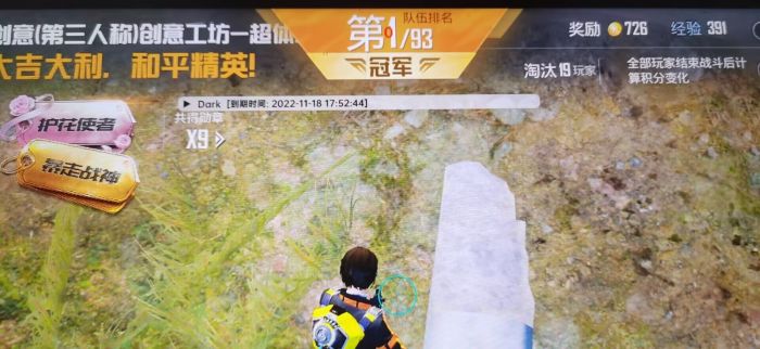 朵拉和平精英辅助苹果（朵拉和平精英辅助苹果的用户评价如何？）